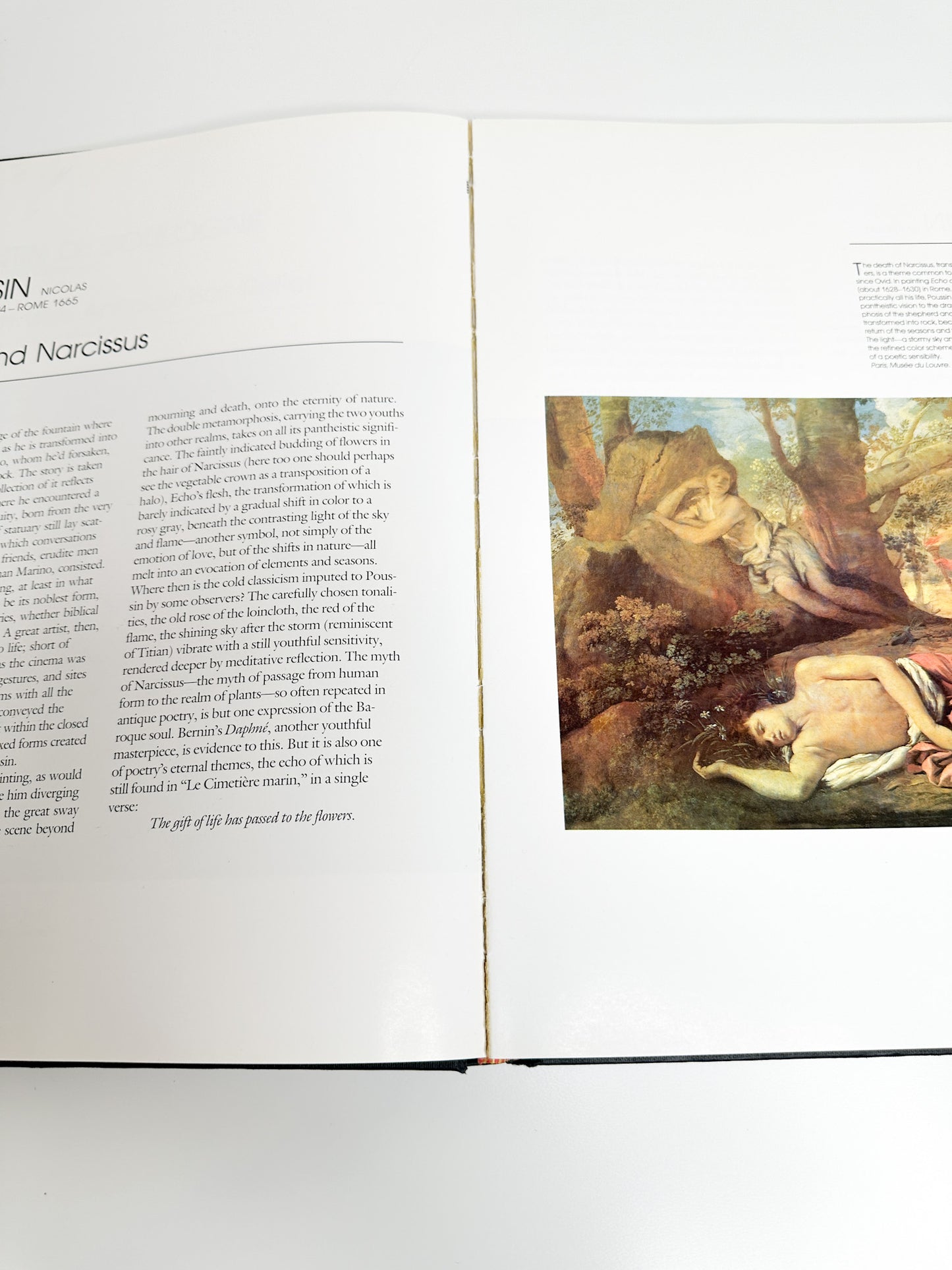 Five Centuries of French Painting by Raoul Ergmann | Coffee Table Art Books | French Art Book
