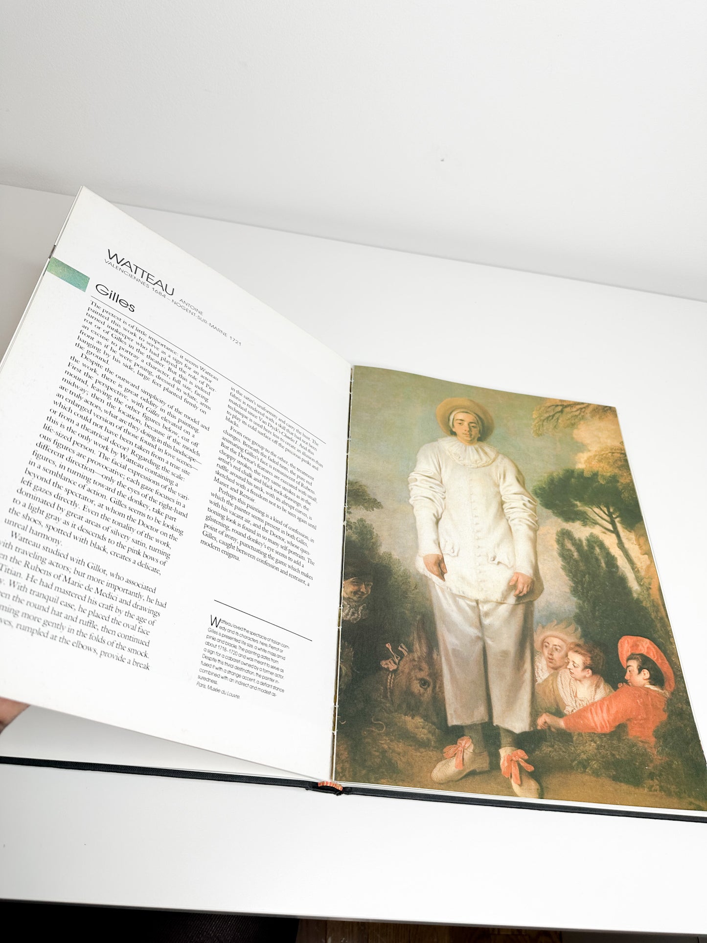 Five Centuries of French Painting by Raoul Ergmann | Coffee Table Art Books | French Art Book