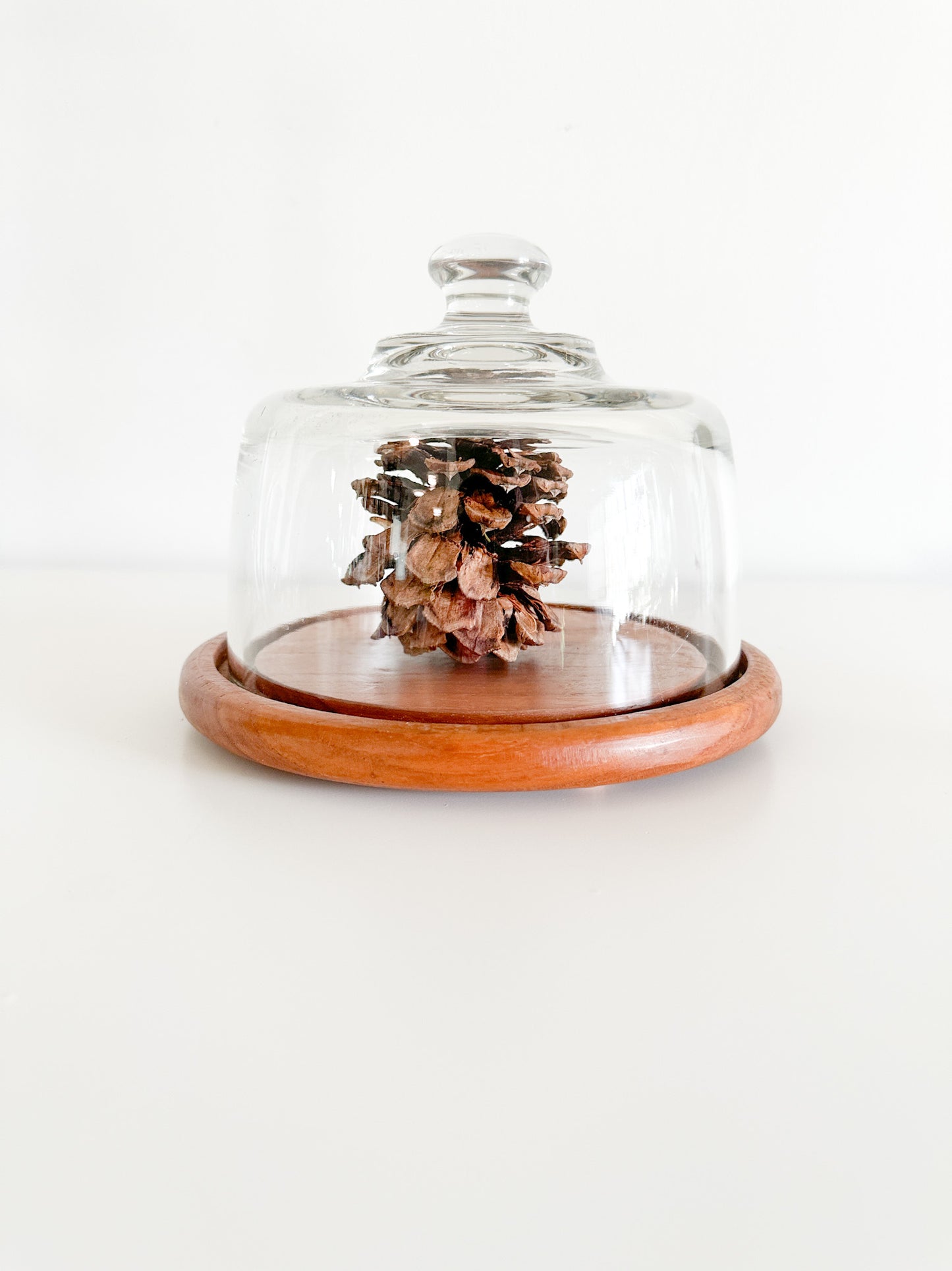 Cheese Dome with Glass Top and Wooden Base | Vintage Cheese Dome Kitchen Decor
