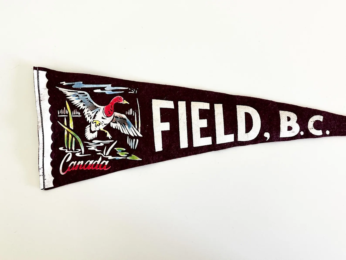 Field B.C., Canada Fraser Canyon B.C., Canada Vintage 1970s Souvenir Pennant | Vintage Felt Pennant