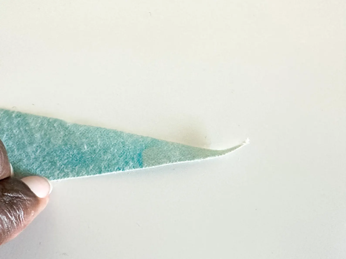 San Diego Zoo 1980s Souvenir Pennant | Vintage Felt Pennant