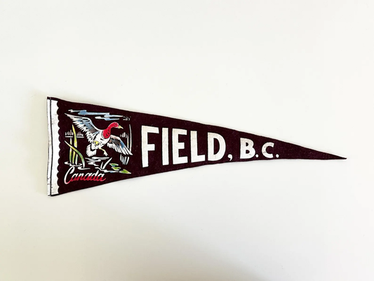 Field B.C., Canada Fraser Canyon B.C., Canada Vintage 1970s Souvenir Pennant | Vintage Felt Pennant