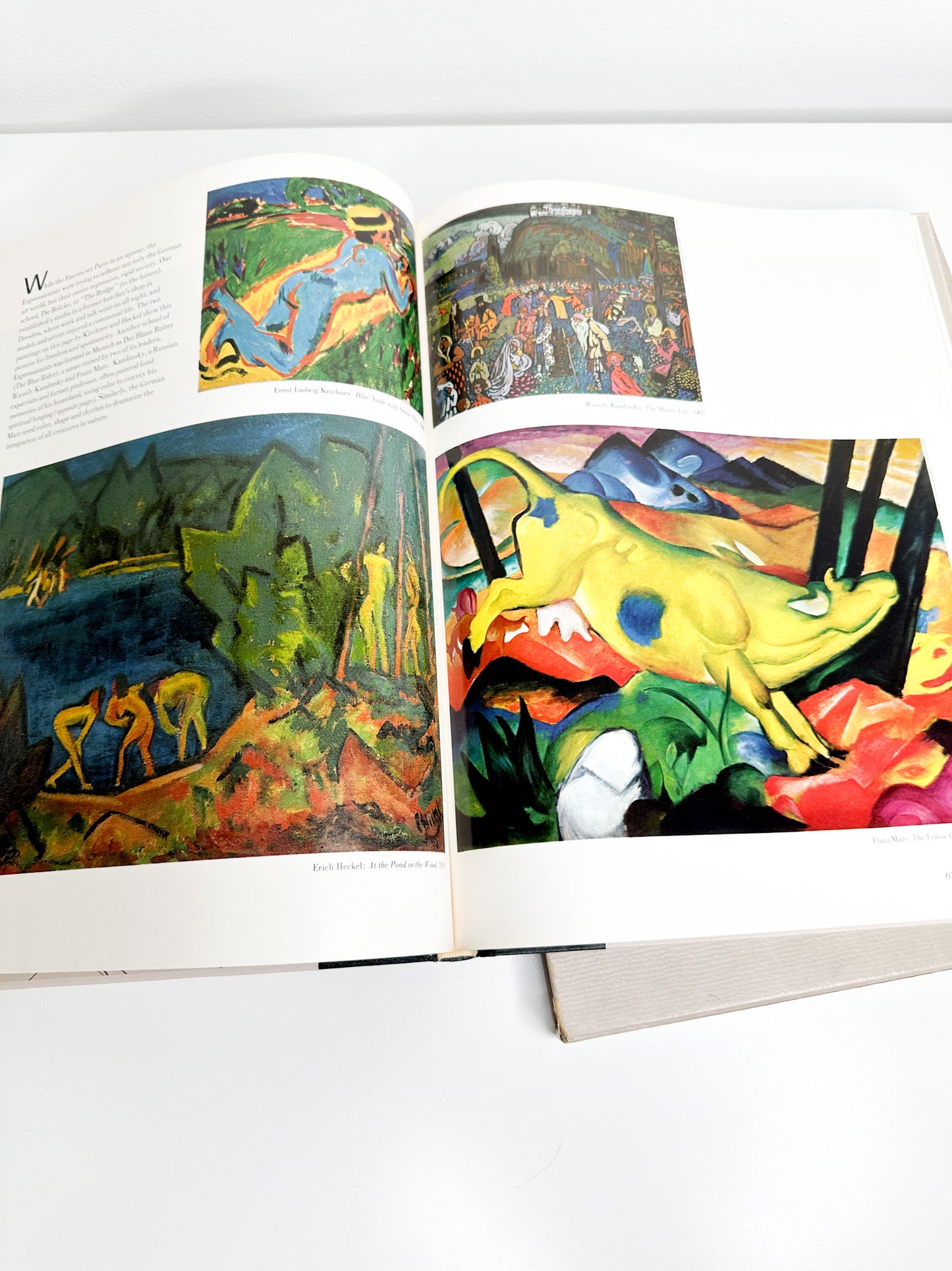 Library of Art: The World of Matisse , 1869-1954 by Richard Schickel | Henry Matisse Art Book