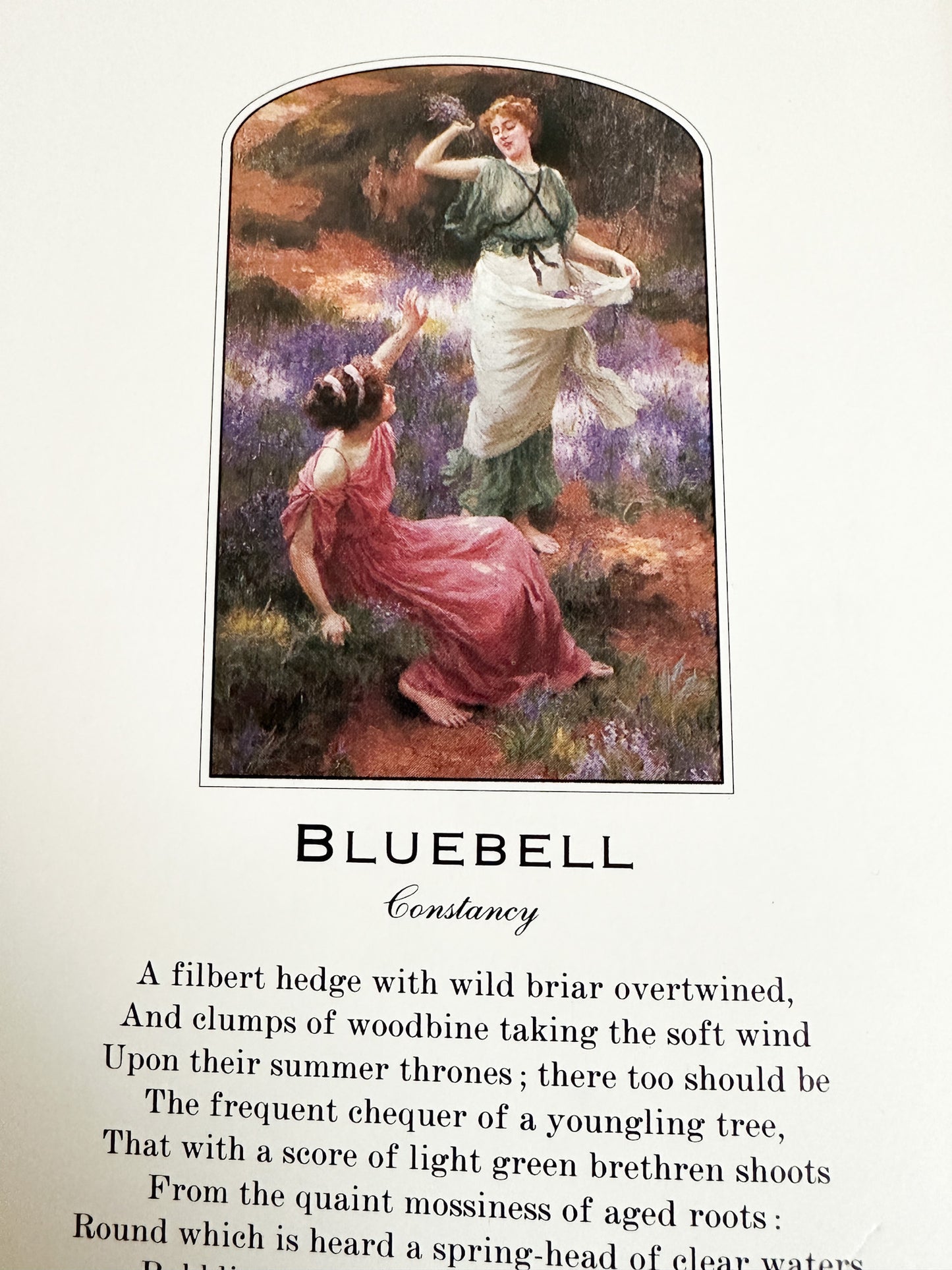 The Language of Flowers Penhaligon's Scented Treasury of Verse and Prose | Vintage 1990s illustrated book| edited by Sheila Pickles