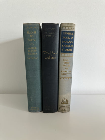 Stack of Vintage Blue Books | Staging Books | Decorative Blue Book Stack | Paper Ephemera