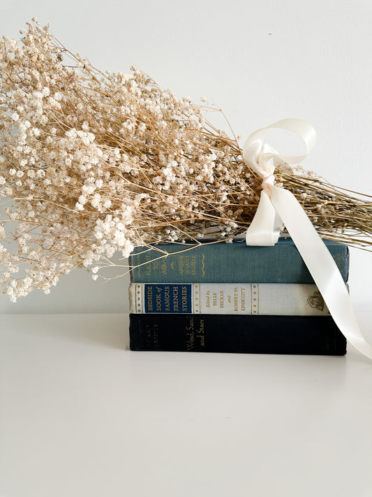 Stack of Vintage Blue Books | Staging Books | Decorative Blue Book Stack | Paper Ephemera