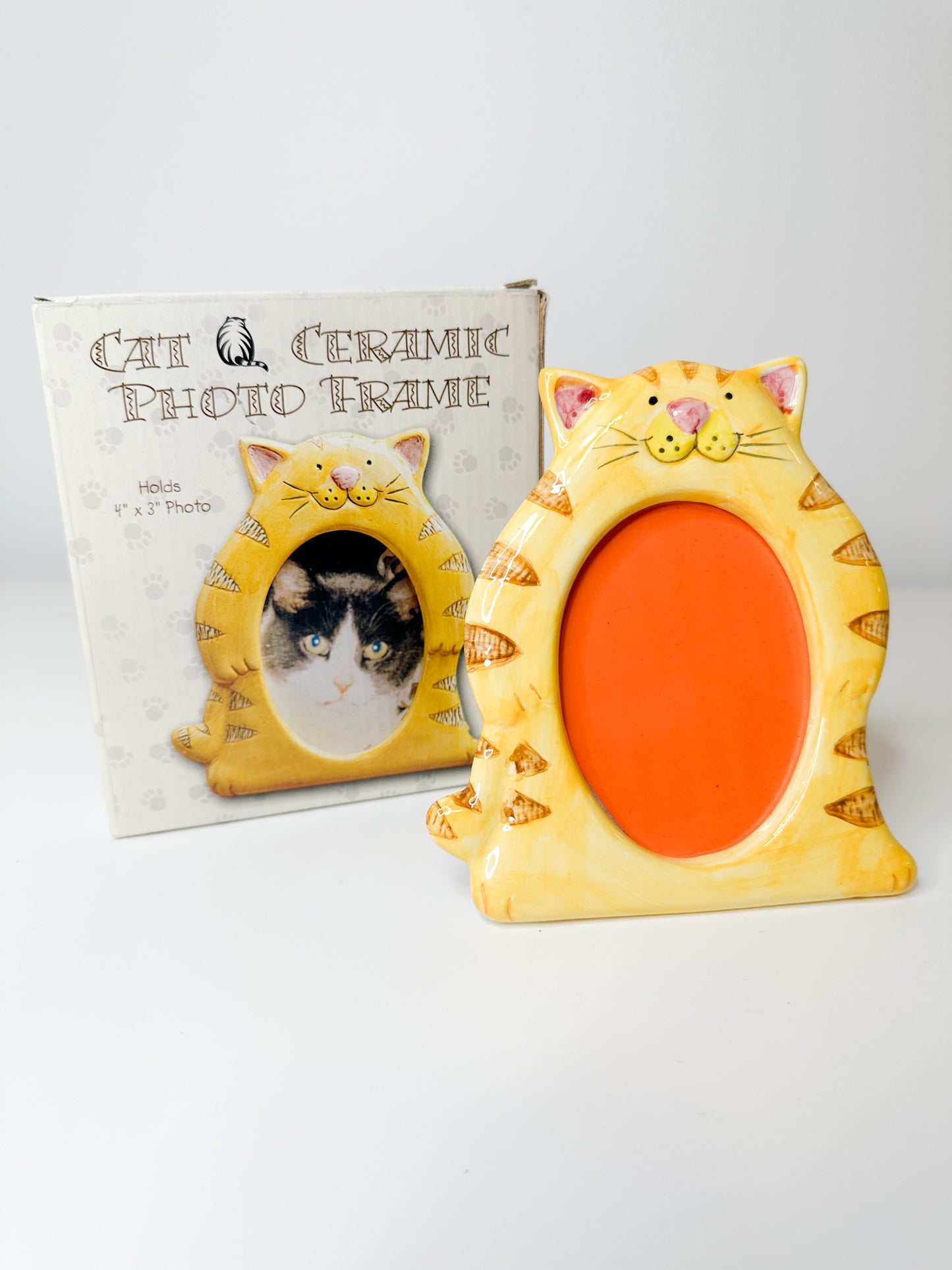 Striped Tiger Cat Picture Frame | Yellow Fat Cat Picture Frame | Painted with Oval Opening.