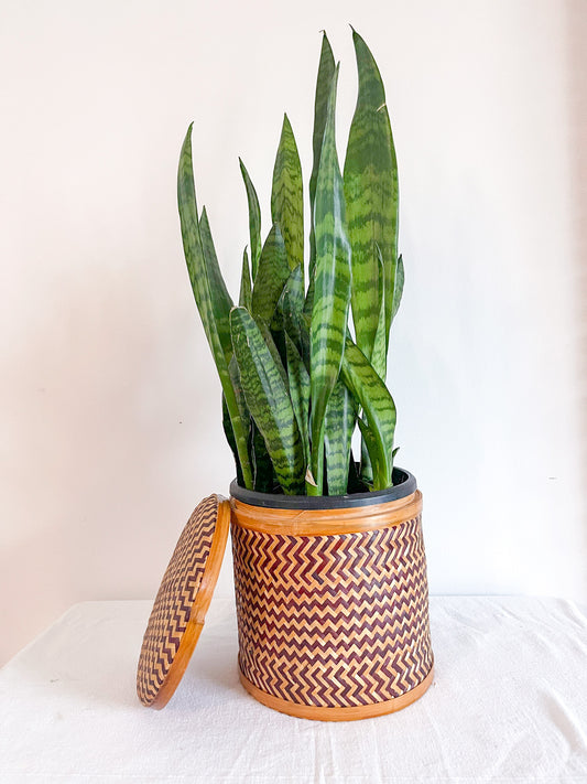 Bamboo Basket with matching lid.